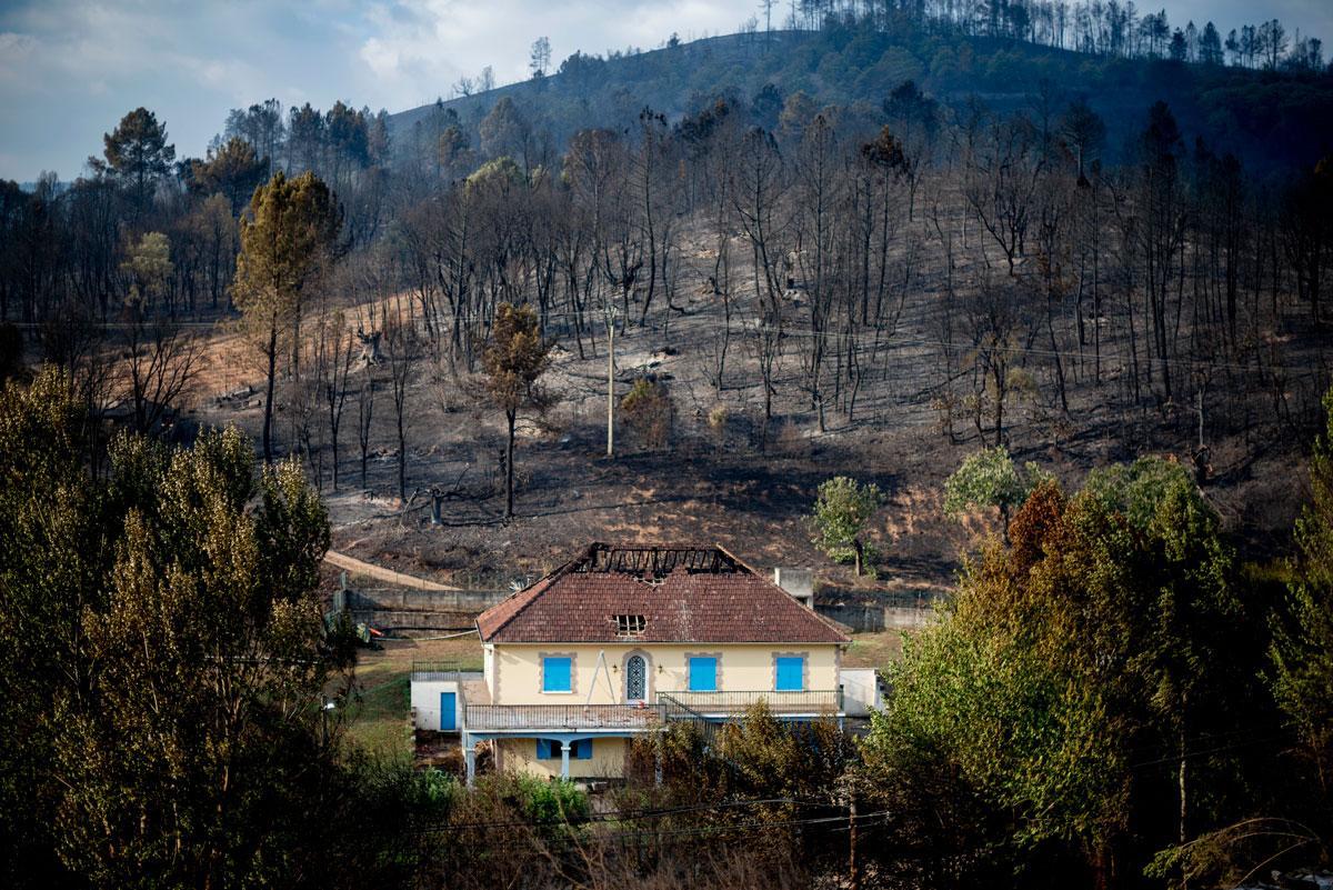 La ola de incendios en Galicia arrasa ya más de 19.000 hectáreas y el ...