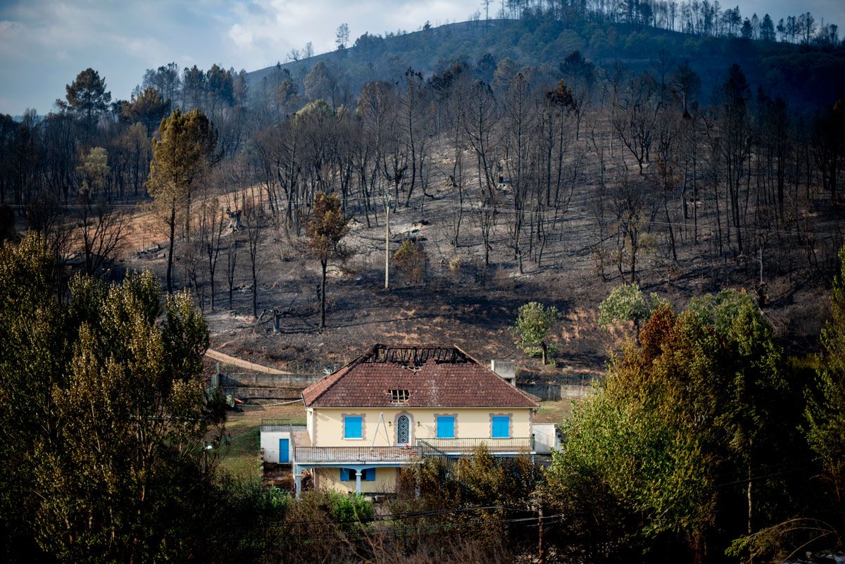 Incendio forestal en A Veiga de Cascallá, en Rubiá (Ourense)