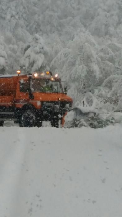 Neu a la Catalunya Central