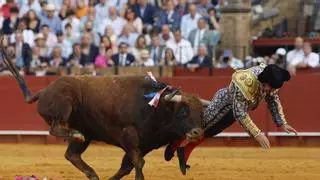 Morante de la Puebla cae herido en la Maestranza