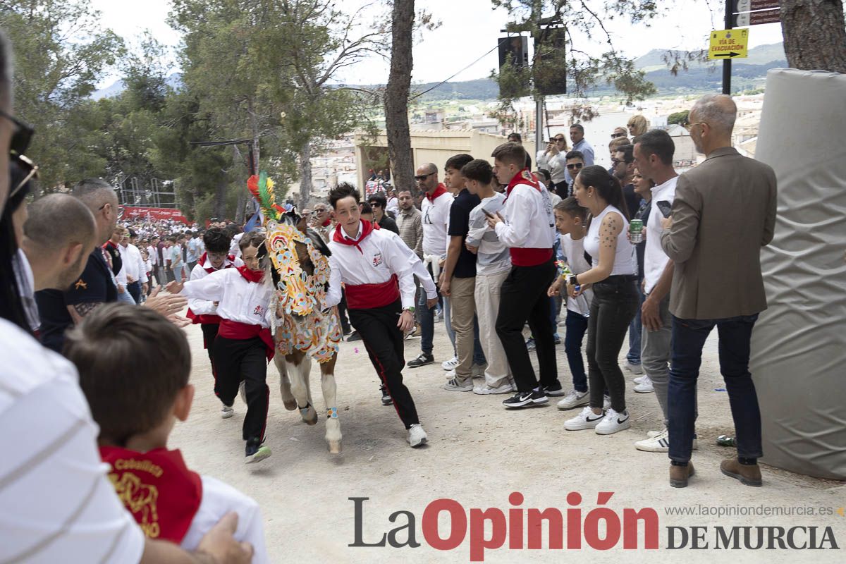 Fiestas de Caravaca | Desfile infantil del Bando de los Caballos del Vino