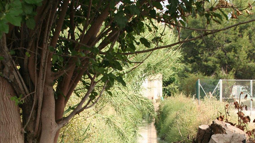 Acequia de la huerta murciana.