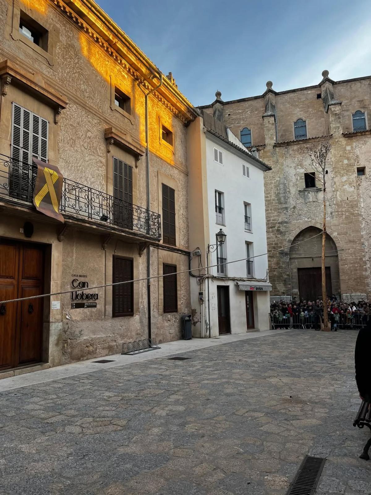Las imágenes de la retirada del Pi de Sant Antoni de Pollença