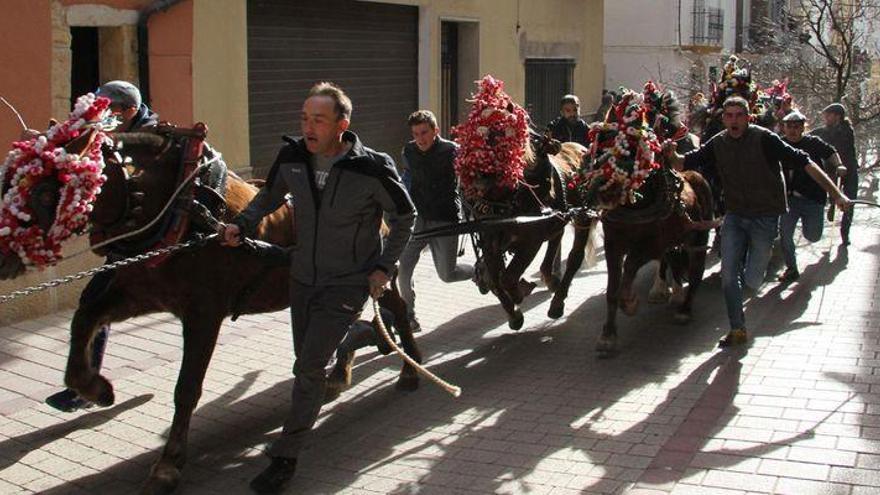 Albocàsser celebra &#039;Les Rossegades&#039;