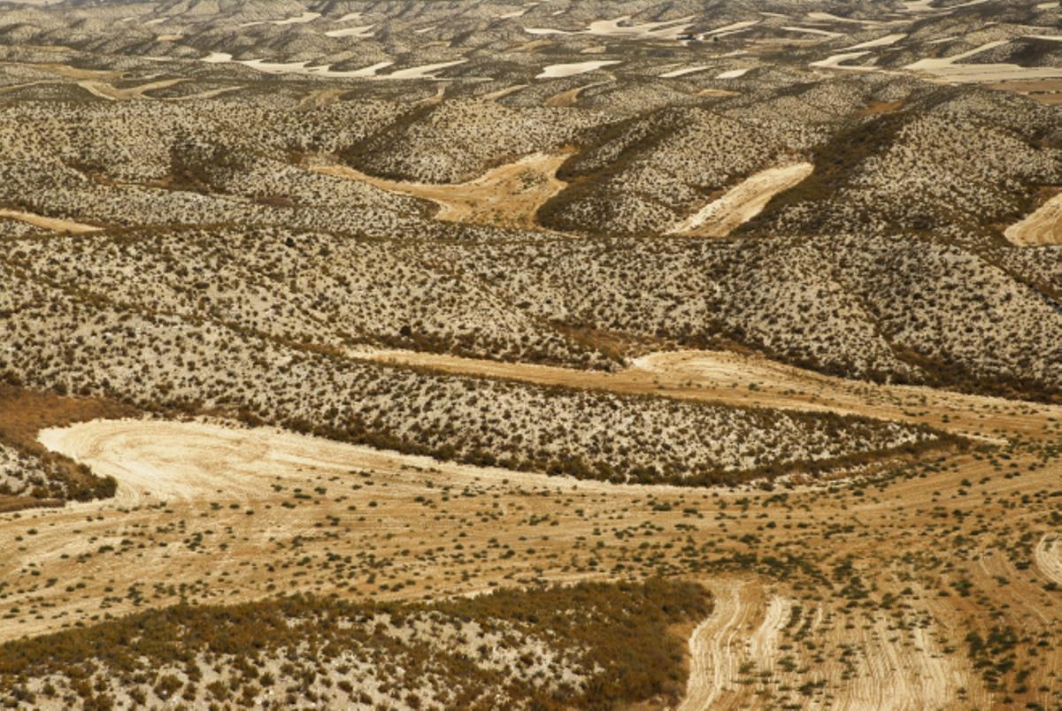 Ruta senderista por los Montes de Alfajarín