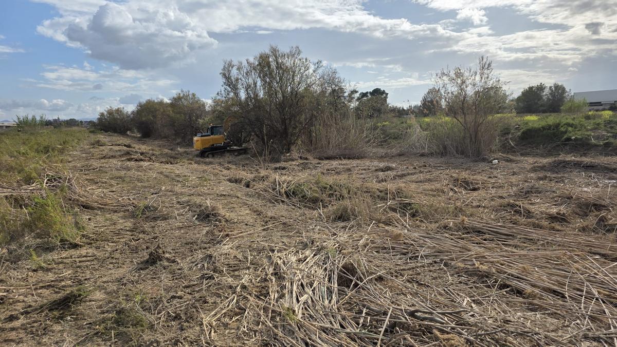 Zona de actuación para en la cañada de Morcillo (Molina de Segura).