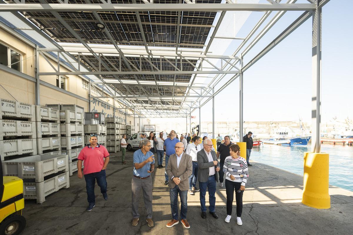 Acto de inauguración de la nueva pérgola con placas solares para impulsar las energías renovables en el sector primario de Gran Canaria.