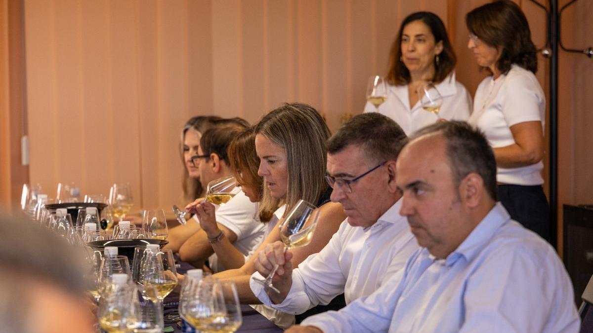 Presentación de la planta de desalcoholización de Destilerías San Valero en Cariñena al sector vinícola y bodegas de la D.O (3)