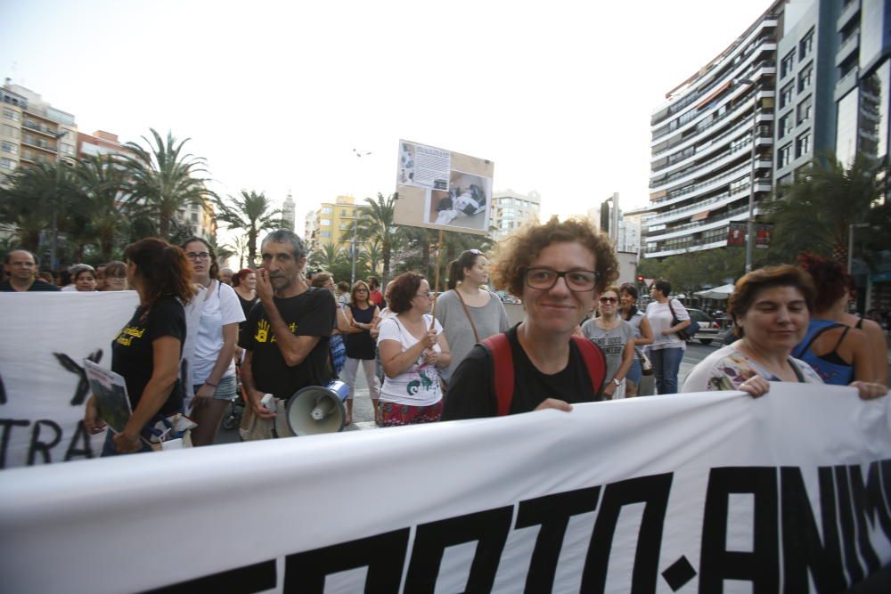 Manifestación tras el maltrato a los gatitos