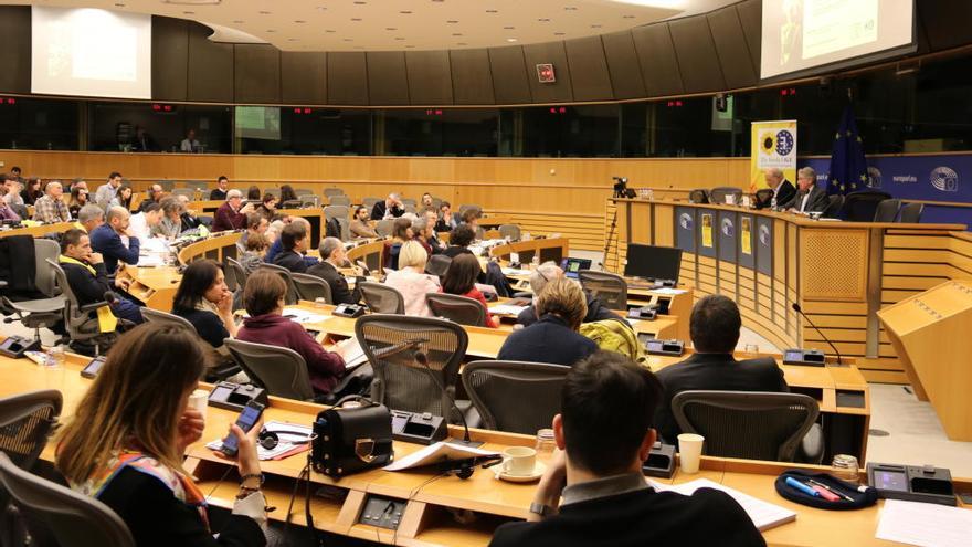 Moment de la ponència al Parlament Europeu.