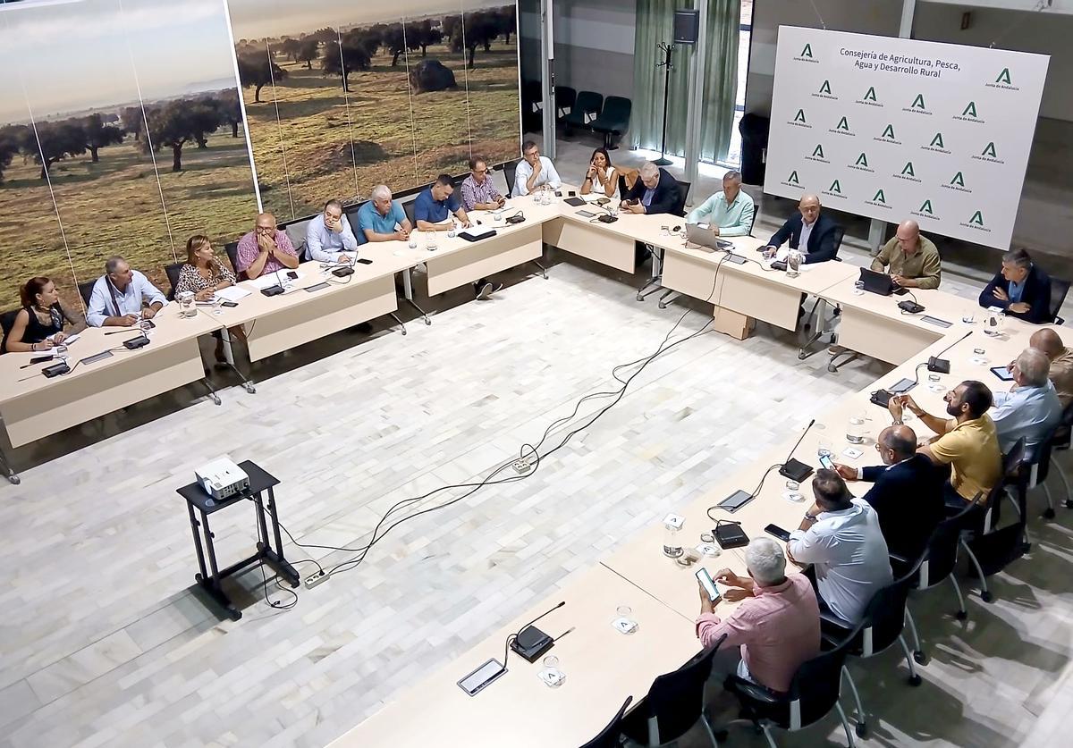 Presentación del aforo de cítricos para la campaña 2027-2027 en Andalucía.