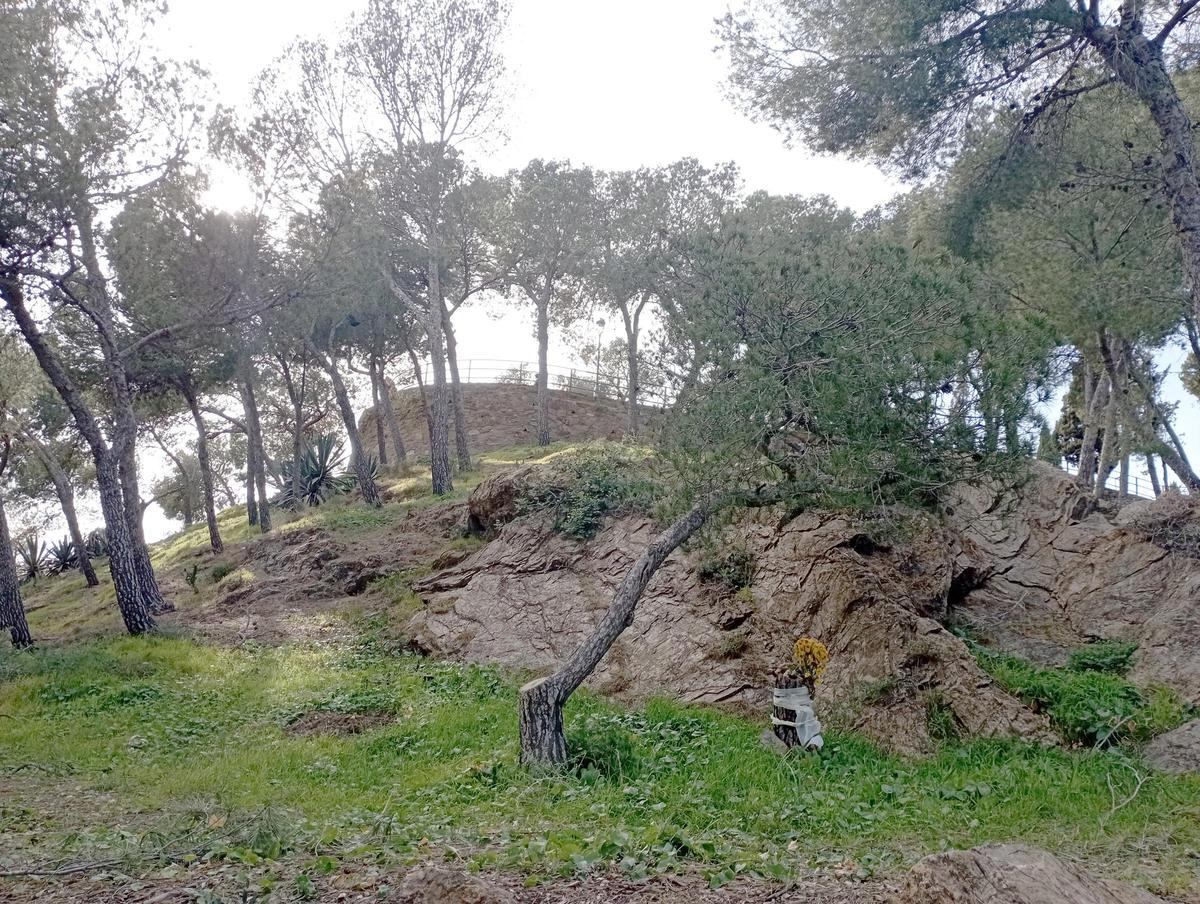 Un ramo de flores y en segundo plano, el mirador superior de Gibralfaro.