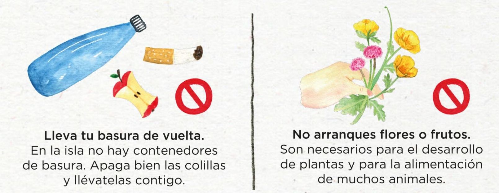 Prohibiciones en las islas Cíes.