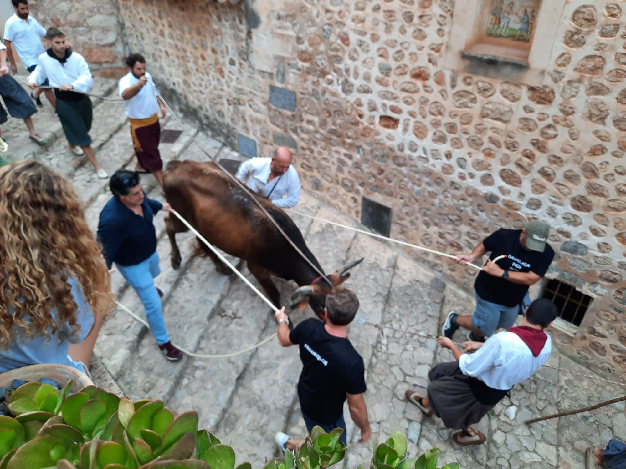 So sah es beim ersten Stierlauf in Fornalutx auf Mallorca nach Corona aus