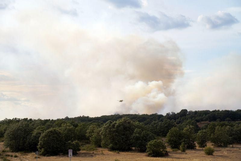 Imágenes del incendio forestal de Grisuela.