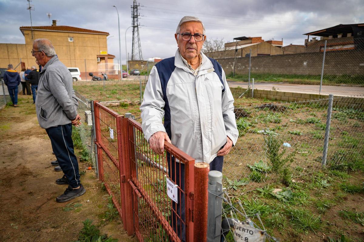 José Guerra en nuevo su huerto.