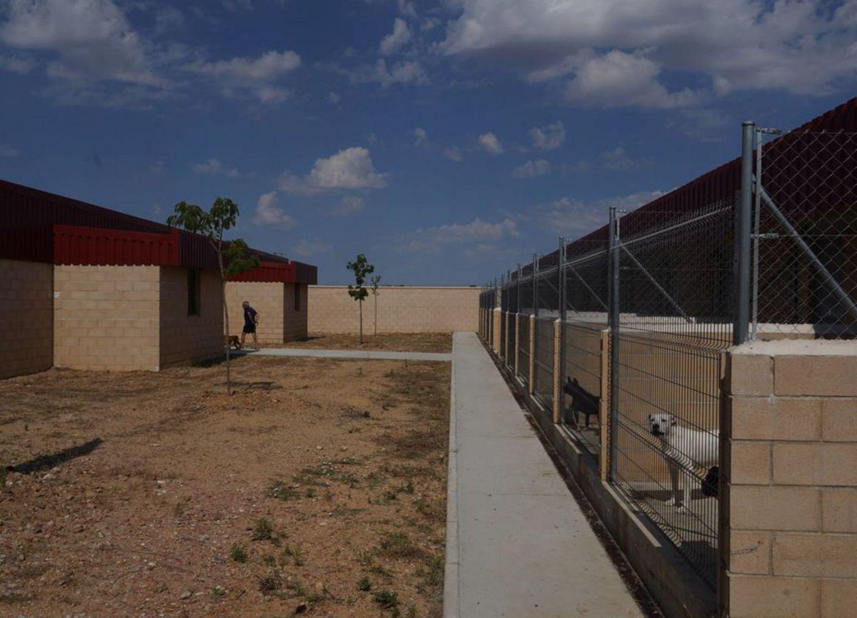 Medio centenar de perros y veinte gatos estrenan el Centro de Protección Animal