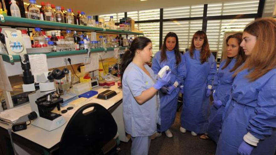 De izquierda a derecha, la doctora Nuria Cabrera con Carla Aguiar, Lorena Herrera, Beatriz Vega y Elena Caballero.  | andrés cruz