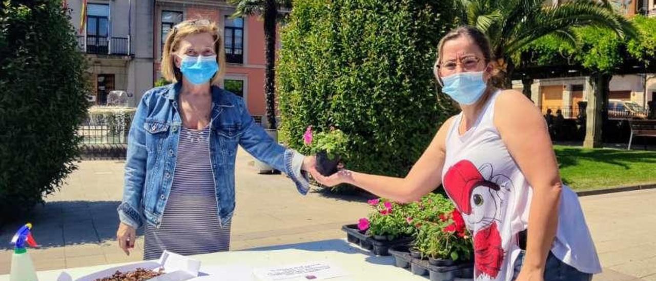 La alcaldesa de Noreña, Amparo Antuña, entregando una planta a Noelia García.