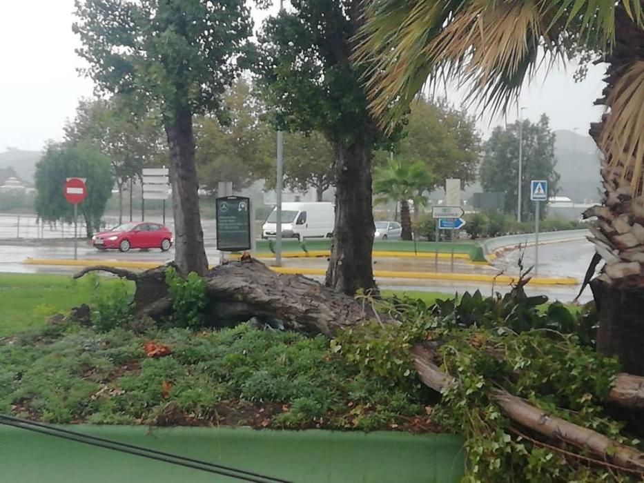 Afecciones de la lluvia en Vélez.