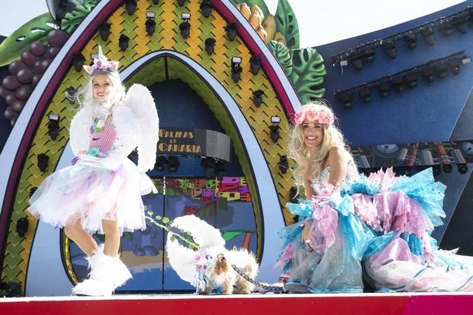 24.02.19. Las Palmas de Gran Canaria. Carnaval 2019. Concurso Carnaval Canino 2019. Alejandra Arqueros, presenta a Draco, con la fantasía "Salimos de un cuento de hadas para participar en el Carnaval de Las Palmas". Foto Quique Curbelo