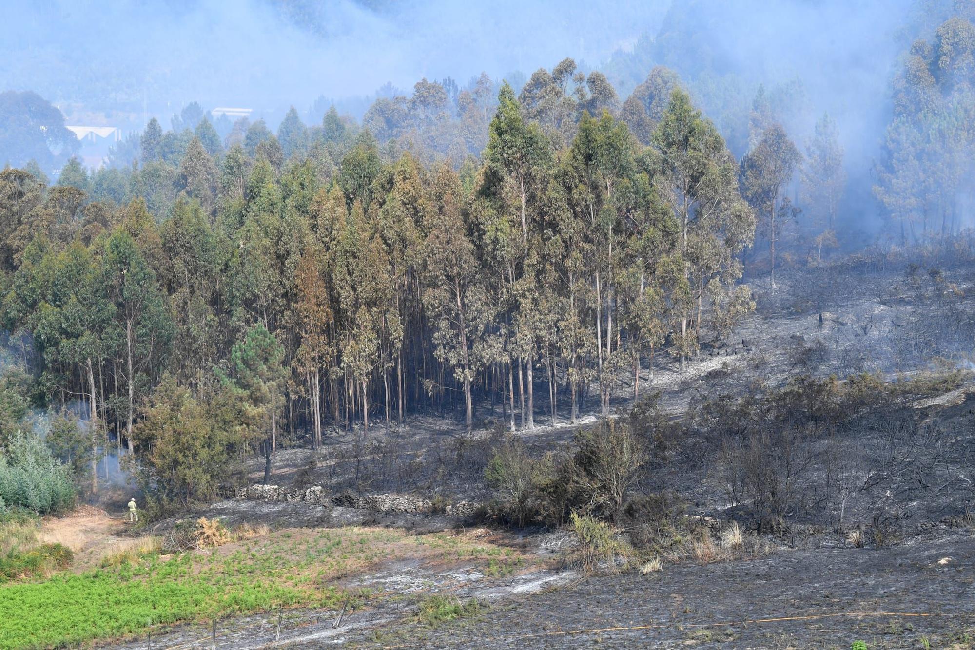 Continúan los trabajos de control en el incendio declarado en Elviña