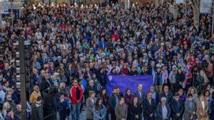 Mares maltractades es planten davant l’auge de violència vicària