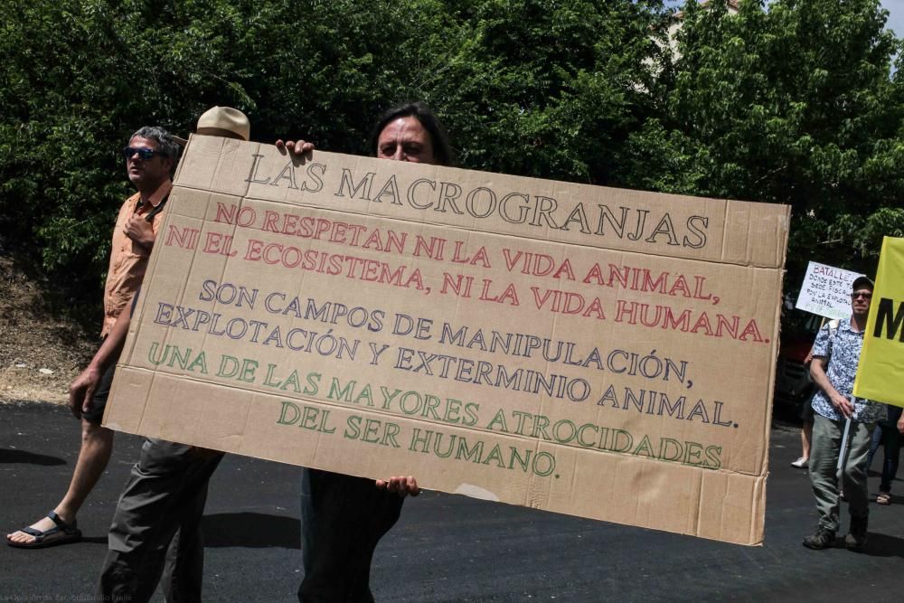 Manifestación contra las macrogranjas en Cerecinos