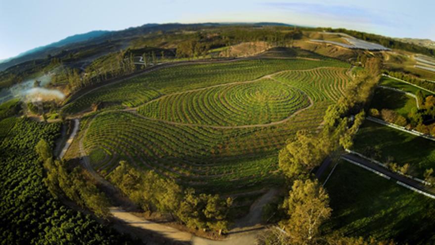 Mi gran pequeña granja