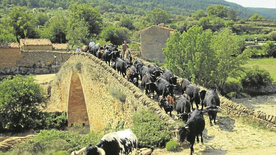 ‘Red Natura 2000’ commemora el seu dia europeu