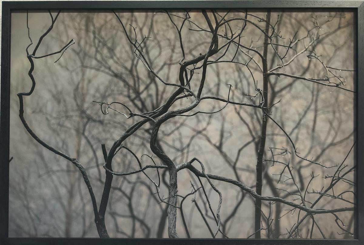 Una de las imágenes de la muestra.