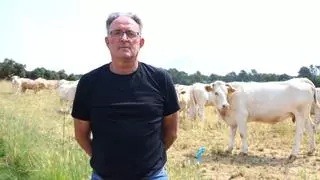 Catalunya extrema los controles tras detectar tres focos de tuberculosis bovina