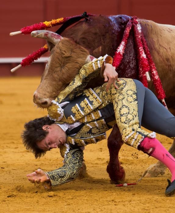 Así fue la grave cornada a Román en La Maestranza