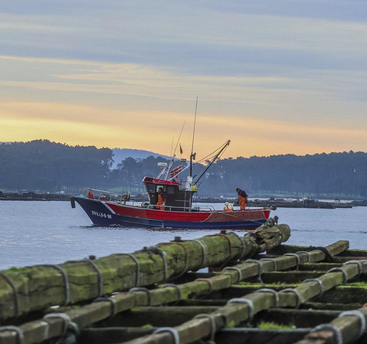 Una embarcación de pesca entre las bateas.  |  Iñaki Abella