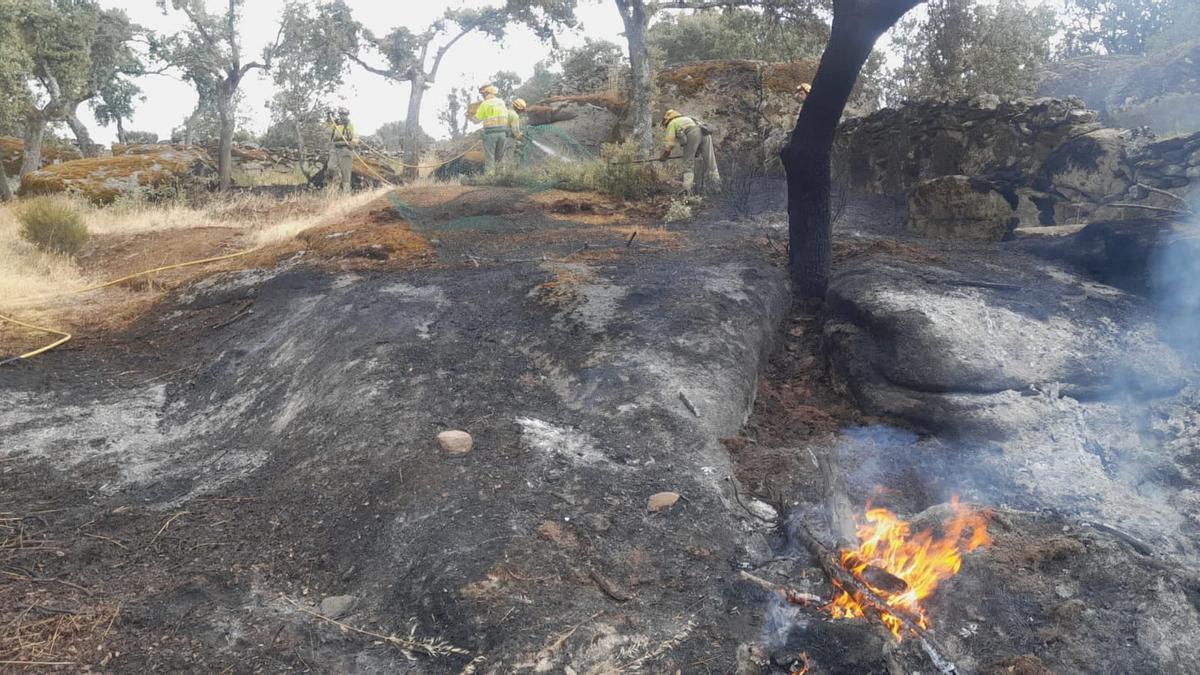 Incendio declarado en Abelón