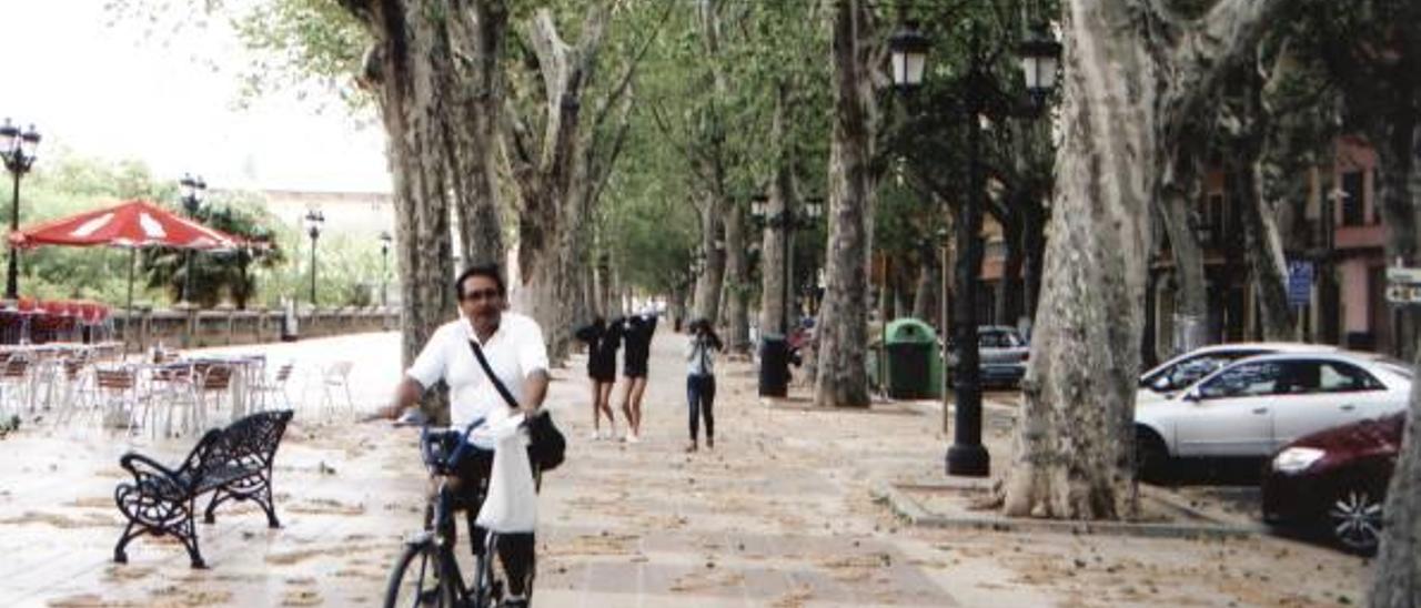 Pesadilla para los alérgicos en Xàtiva