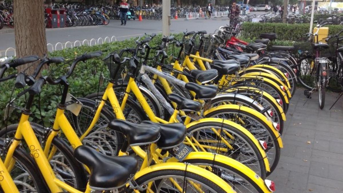 Bicicletas colaborativas Ofo en China