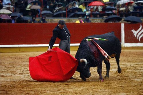 Festival a beneficio de la Asociación contra el Cáncer