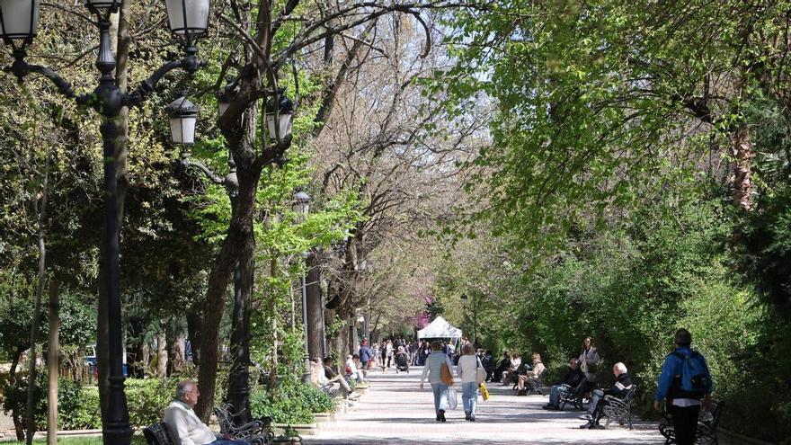 Cáceres afronta una primavera cuesta arriba para los alérgicos