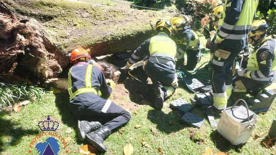Herida una mujer que se quedó atrapada al caerle un árbol encima en Poio