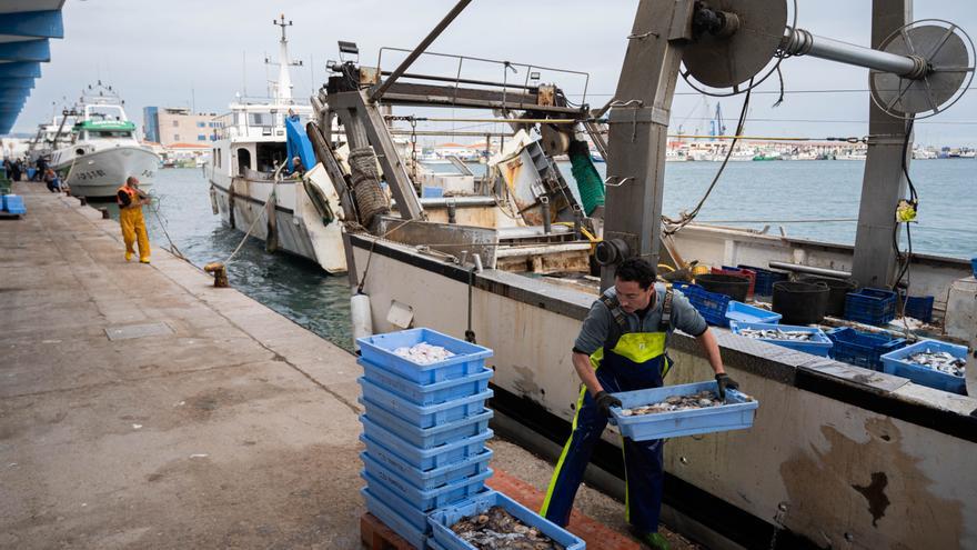 El precio del boquerón en lonja marca un tope histórico: 76 euros por 8,5 kilos