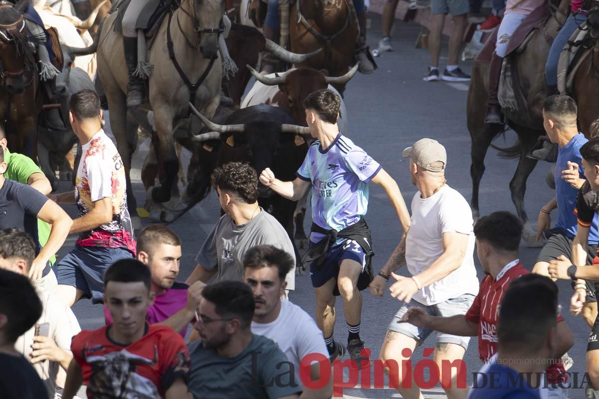 Octavo encierro de las Fiestas de Moratalla