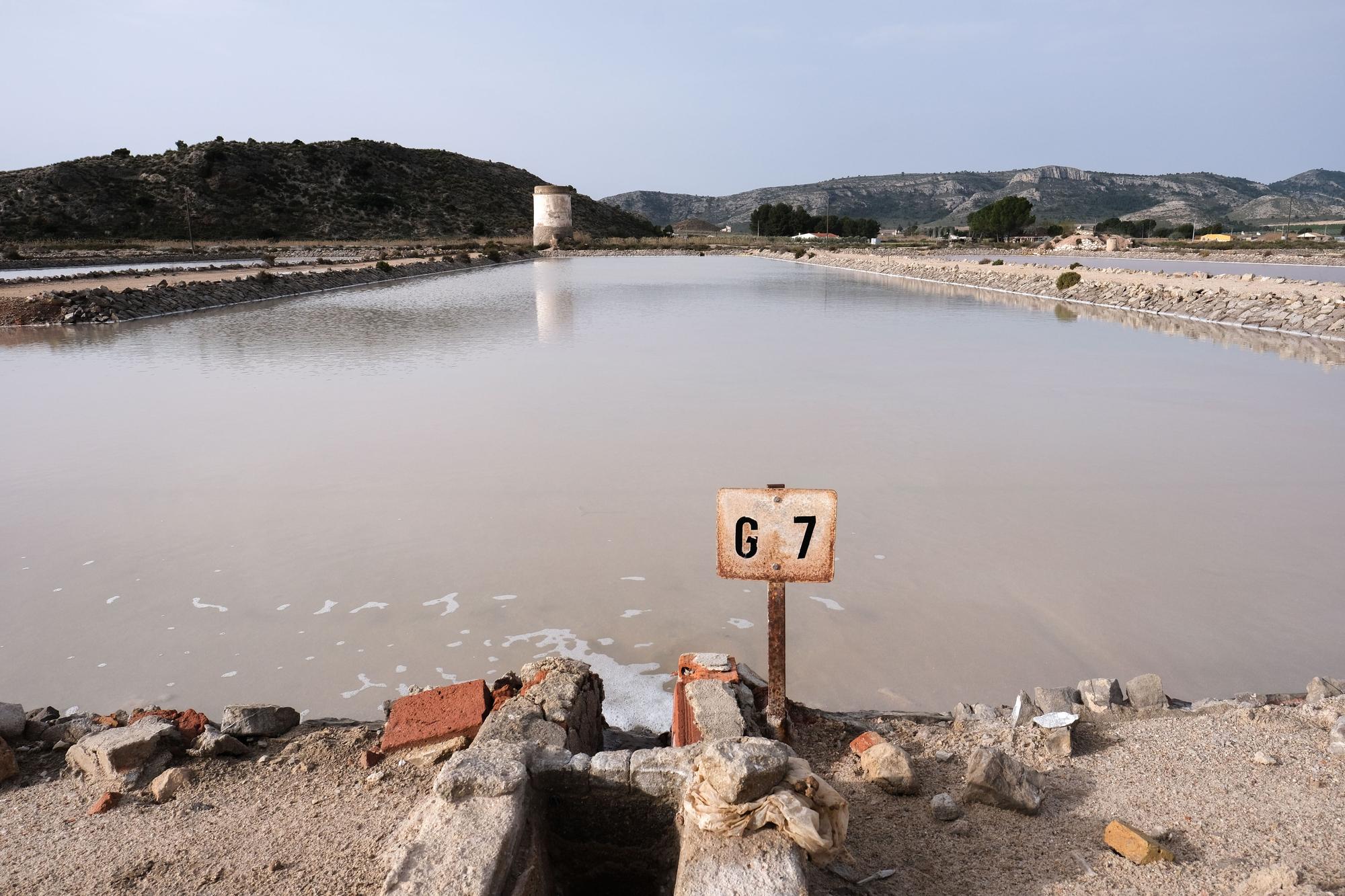 Un mundo extraterrestre en Villena