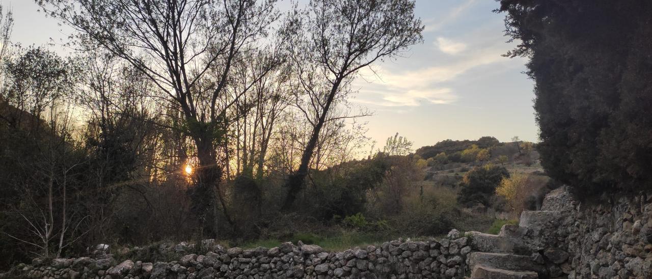 La memòria de la pedra que envolta el meu refugi.