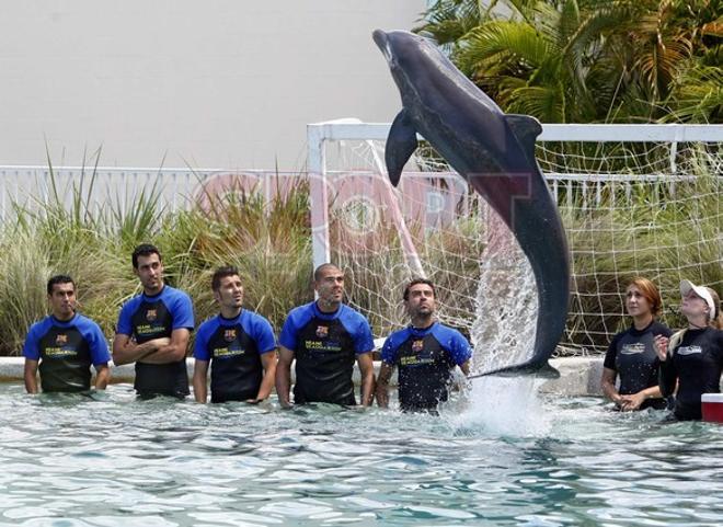 Los jugadores del Barça se divirtieron con los delfines