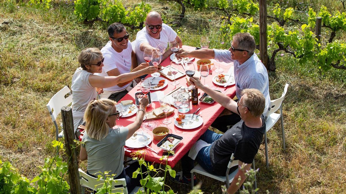 Un grup de turistes gaudint d'un dels esmorzars de forquilla entre vinyes del Vívid.