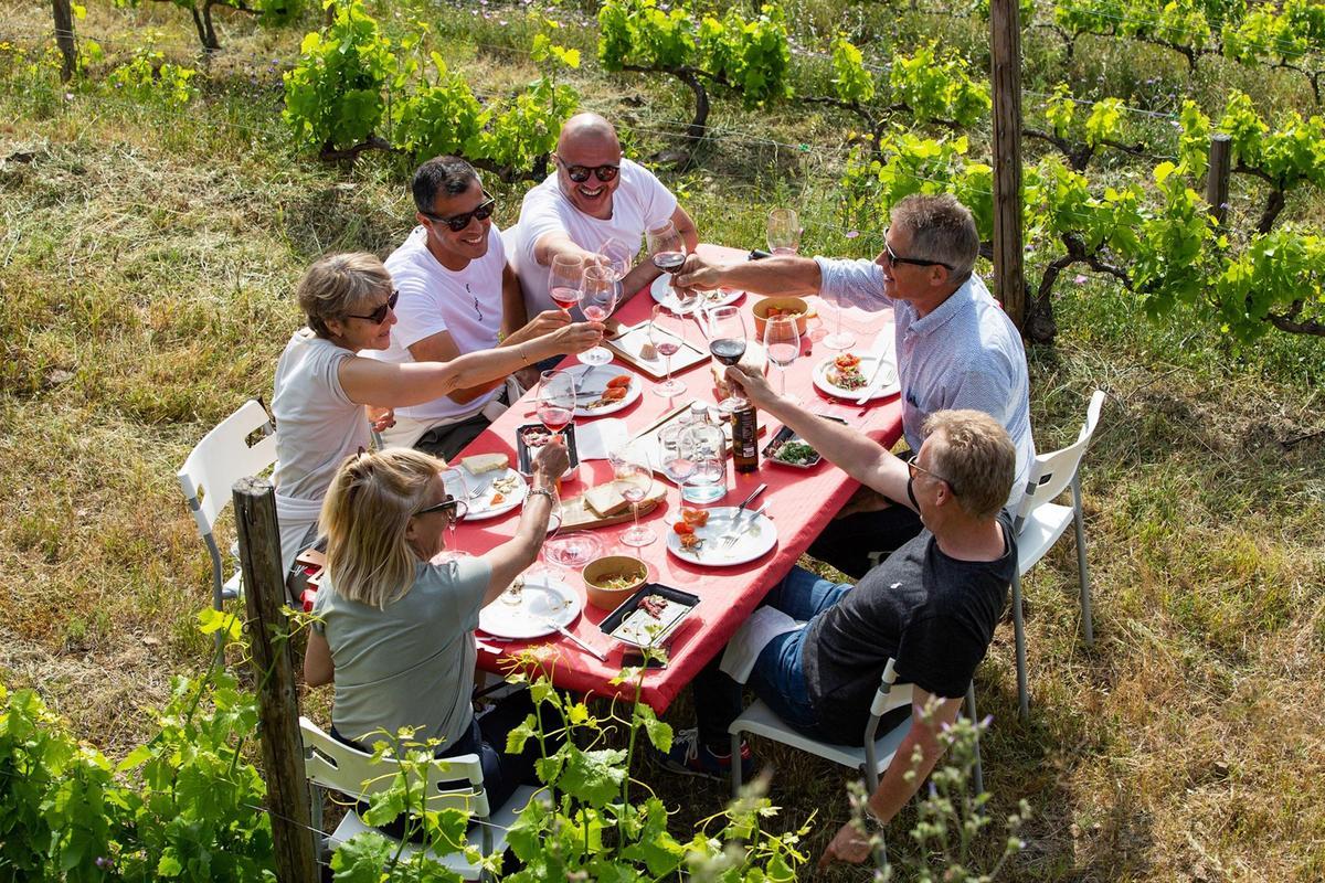 Un grup de turistes gaudint d'un dels esmorzars de forquilla entre vinyes del Vívid.