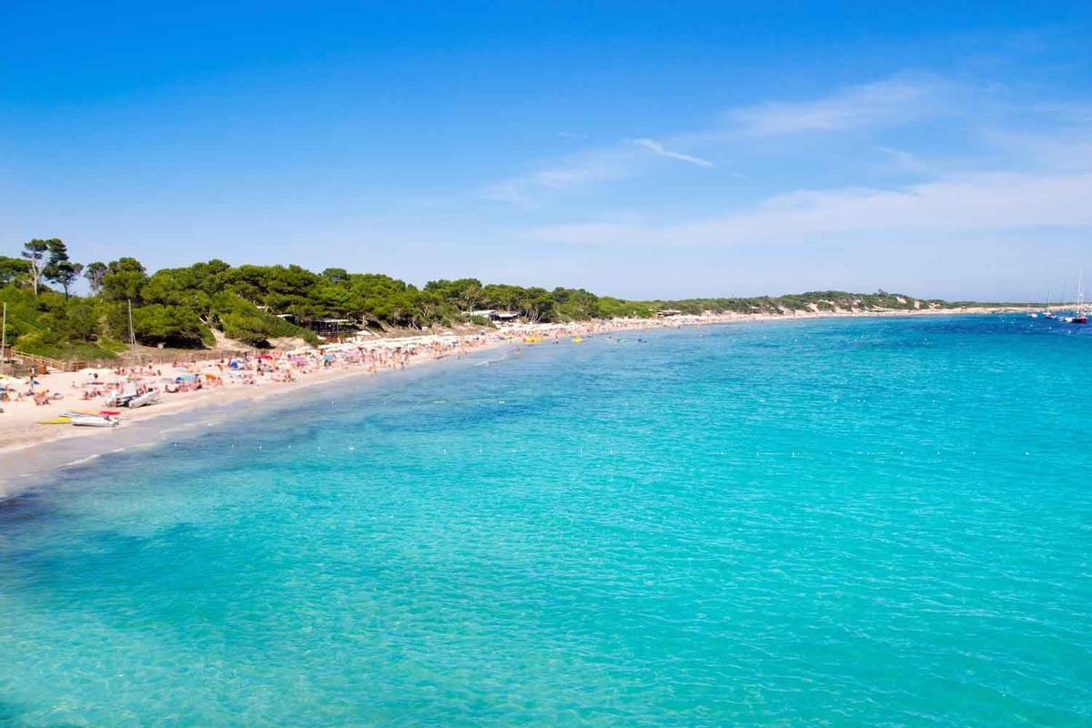 Playa de Ses Salines