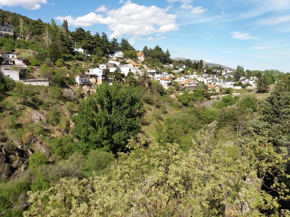 Miraflores de la Sierra tiene aproximadamente 7.350 habitantes