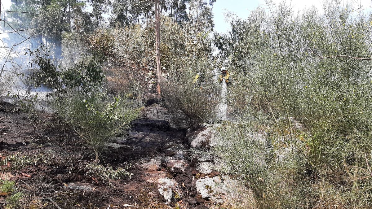 Una de las brigadas trabajando esta tarde en la zona del incendio.
